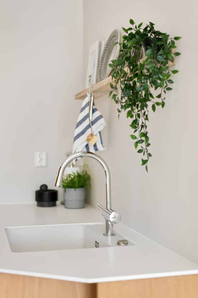 Minimalist kitchen interior with a sleek sink and lush potted plant on a shelf.